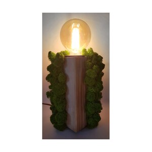 Wooden lamp with Scandinavian moss made to order, traditional lamp, Floor lamp, living, home, art deco, furniture, electric lamp, Natural image 2