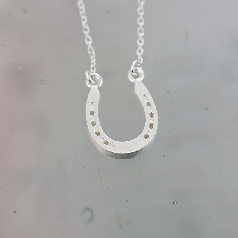 silver horseshoe necklace with chain