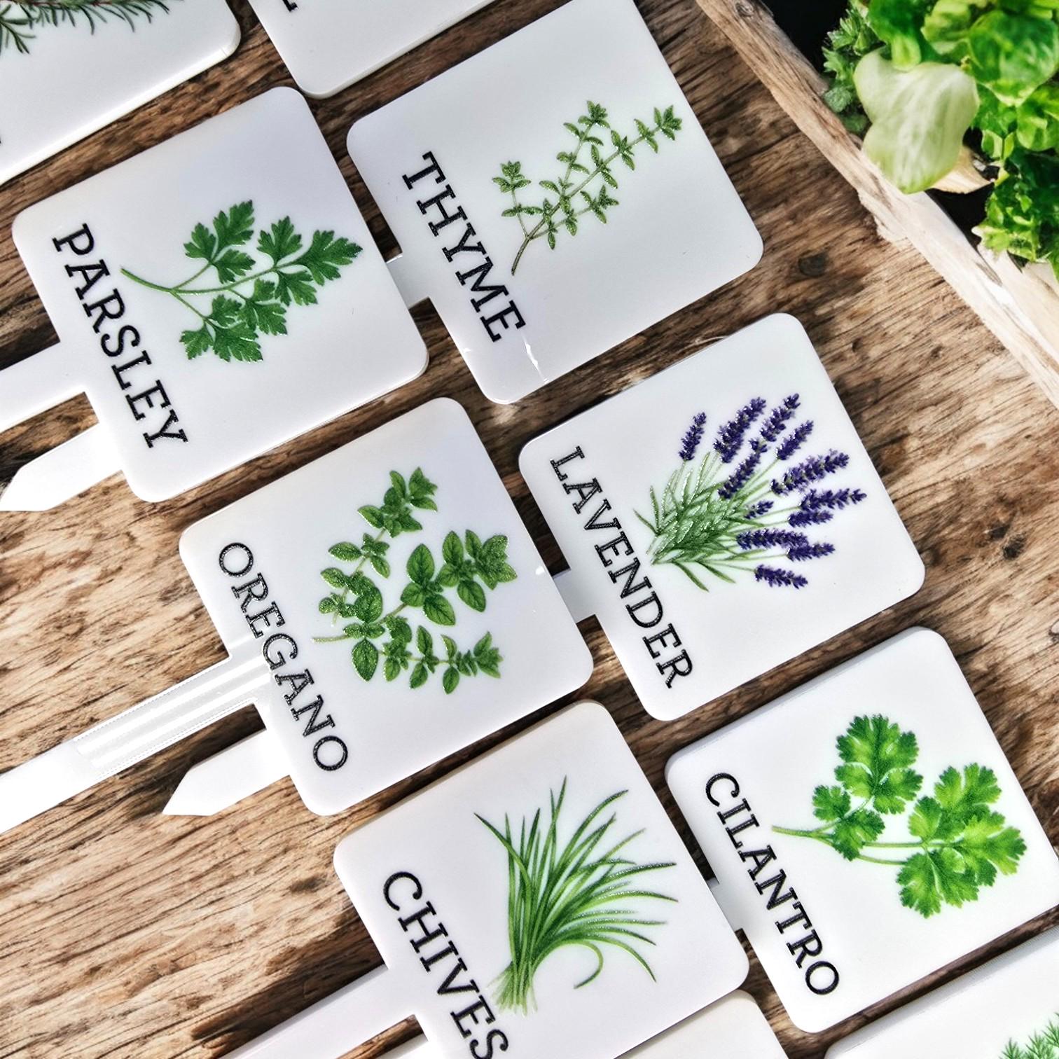 Herb Garden Markers Potted Herb Stakes Labeled Herb Markers Acrylic Herb Plant Markers Colorful Herb Markers Garden Accessory Gift for Mom