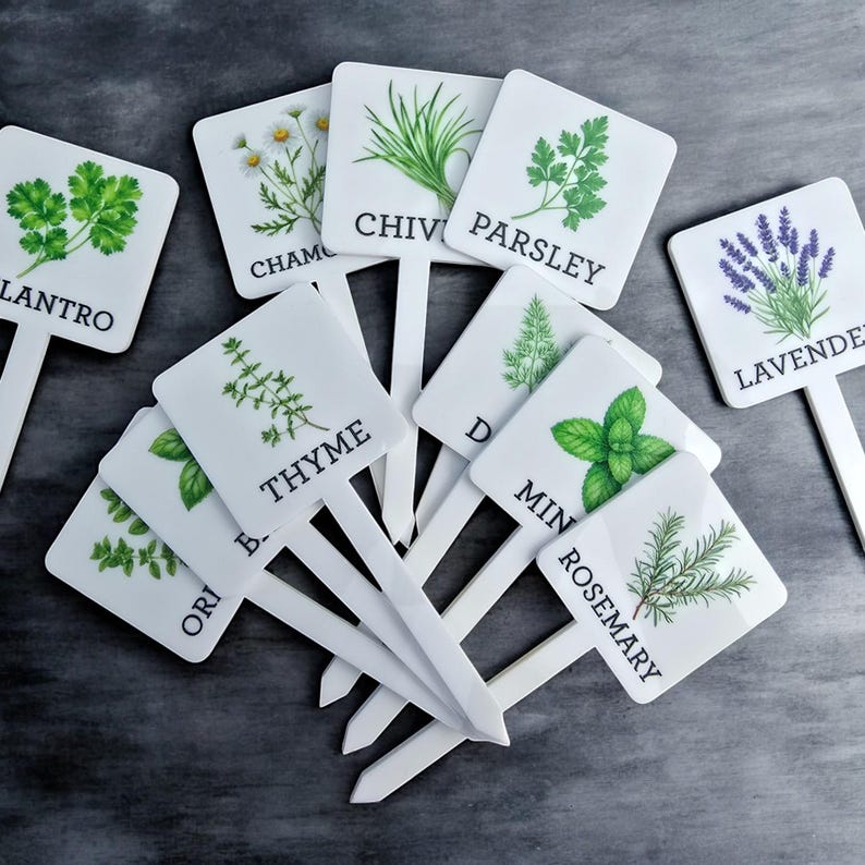 May include: White square plant markers with green and purple illustrations of herbs and flowers. The markers have the names of the plants printed on them, including: Chives, Parsley, Lavender, Thyme, Oregano, Mint, Rosemary, Chamomile, and Cilantro.