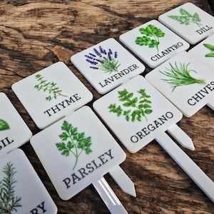 May include: Set of ten white square plant markers with different herbs and flowers printed on them. The markers have black text with the names of the plants: Thyme, Parsley, Oregano, Chives, Dill, Cilantro, Lavender.