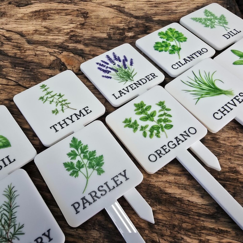 May include: Set of ten white square plant markers with different herbs and flowers printed on them. The markers have black text with the names of the plants: Thyme, Parsley, Oregano, Chives, Dill, Cilantro, Lavender.