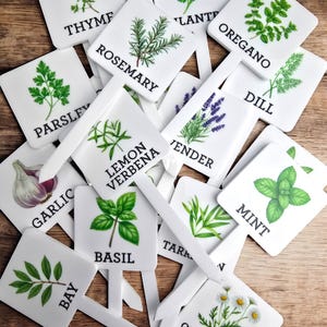May include: A set of white plant markers with illustrated herbs and their names. The markers include rosemary, thyme, oregano, dill, lavender, parsley, garlic, bay, lemon verbena, basil, mint, and tarragon.