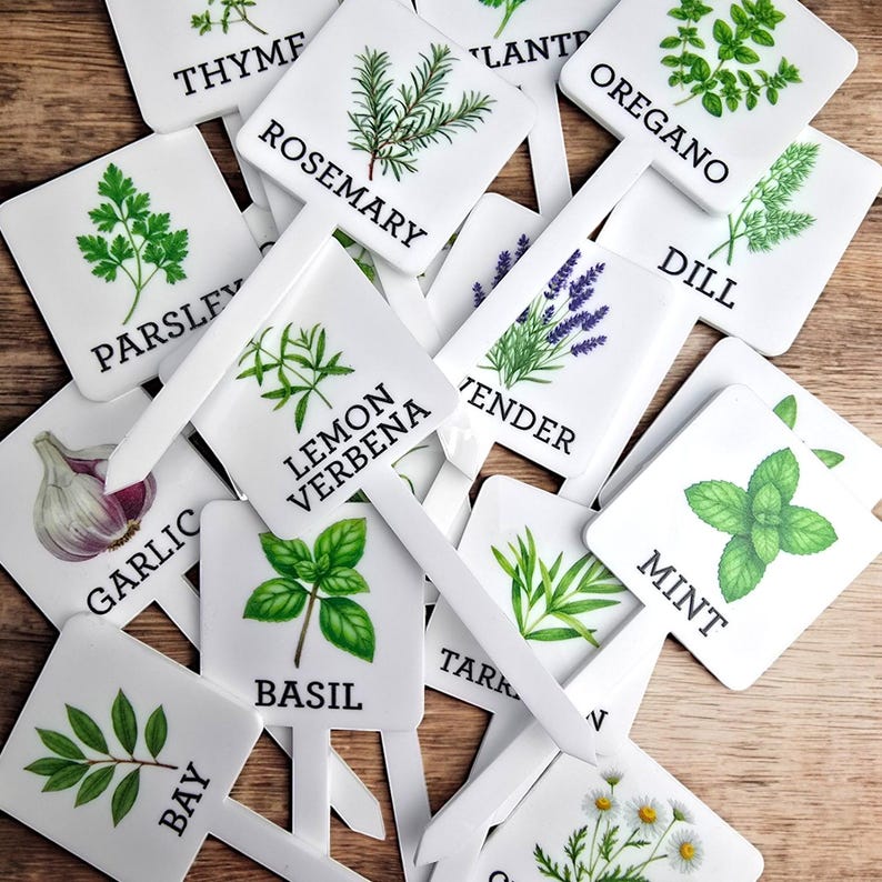 May include: A set of white plant markers with illustrated herbs and their names. The markers include rosemary, thyme, oregano, dill, lavender, parsley, garlic, bay, lemon verbena, basil, mint, and tarragon.