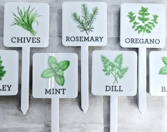 Herb Garden Stakes for Potted Plants Acrylic Herb Plant Markers for Indoor Garden Colorful Herb Markers Garden Accessory Gift for Gardeners