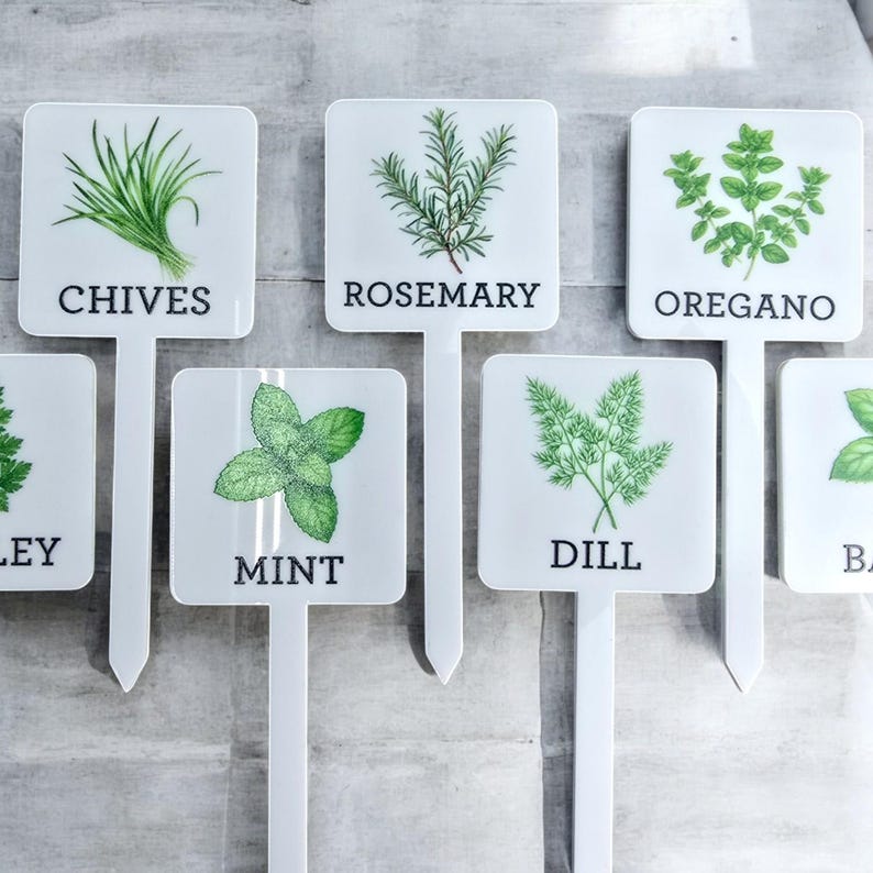 May include: Set of 7 white square plant markers with green illustrations of herbs and their names: Chives, Rosemary, Oregano, Dill, Mint, Parsley, Basil.