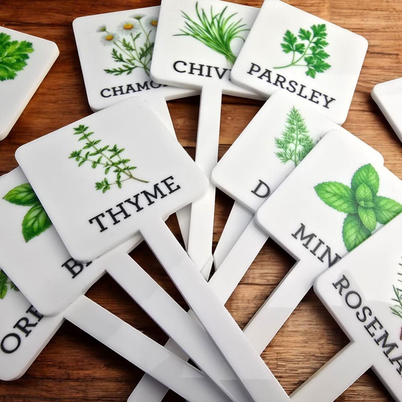 May include: White plastic plant markers with green plant illustrations and black text. The markers include the names of herbs: Basil, Chamomile, Chives, Dill, Mint, Parsley, Rosemary, and Thyme.