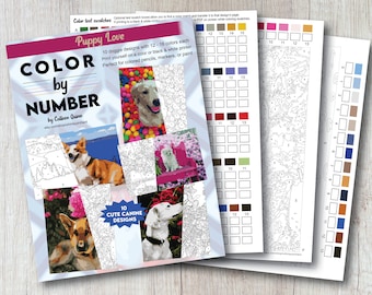 May include: Color by number book with the title "Puppy Love" featuring 10 cute canine designs. The cover shows a corgi puppy in front of a blue ocean and a golden retriever puppy in a ball pit.