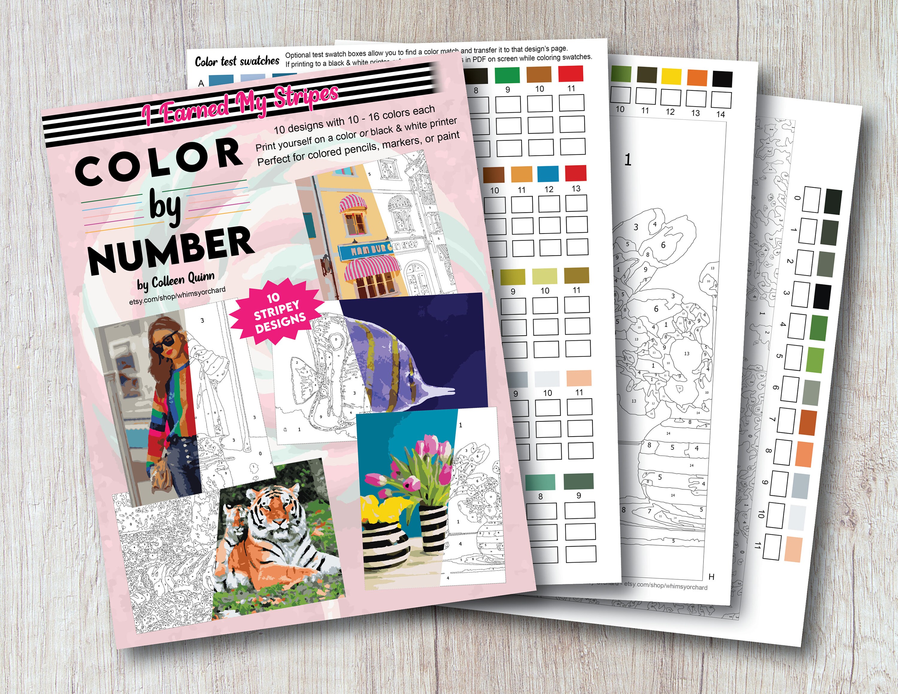 Stripes Color by Number for Adults 10 Printable Designs 