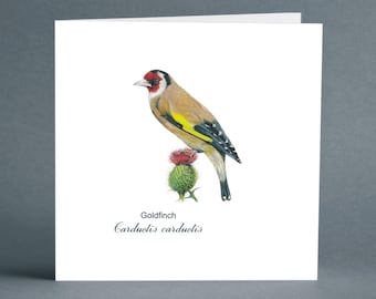 Goldfinch Card - Greeting Card - Birthday Card - Blank Card - British Birds - Bird Card - Wildlife Card - Card for Friends - Art Card