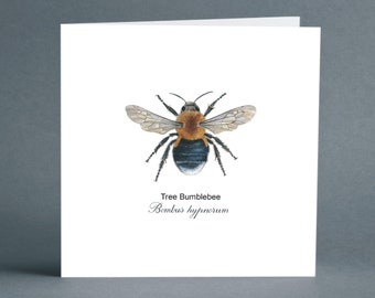 Tree Bumblebee - Greeting Card - Birthday Card - Blank Card - Wildlife Card - Bumblebee Card - Card for Friends - Insect card - Art Card