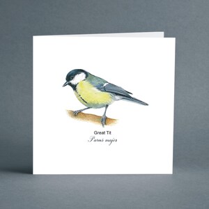 Mésange charbonnière - carte d'anniversaire - carte vierge - oiseaux de jardin - carte British Bird - carte de voeux - oiseau de jardin - carte pour amis