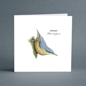Carte de voeux sittelle - carte d'anniversaire - carte vierge - oiseaux de jardin - oiseaux britanniques - carte pour amis - carte oiseau - carte d'art