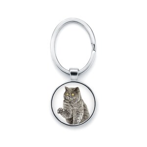 Keychain British Short Hair Cat
