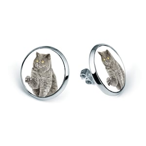 Stick earrings British Short Hair Cat