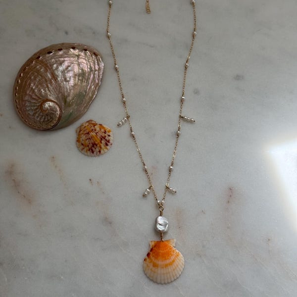 Scallop shell and pearl necklace