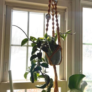May include: A hanging macrame plant holder with a light green ceramic pot holding a green plant with dark green leaves. The macrame is a golden brown colour and has three decorative glass balls. The plant holder is hanging in front of a window.