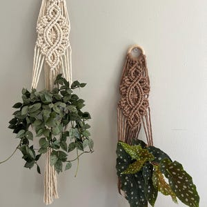 May include: Two macrame plant hangers with wooden rings. The left hanger is white and holds a green plant. The right hanger is brown and holds a green plant with white spots.