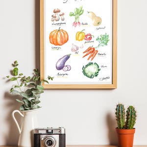 植物ポスターイラスト秋野菜 - 20x30 cm - Nature Deco Kitchen Vegan Healthyfood Kitchen Decoration