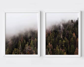 Forest photography - forest print - forest wall prints - forest print set -  forest poster - forest printable - fog forest - forest art