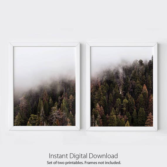 Forest photography - forest print - forest wall prints - forest print set -  forest poster - forest printable - fog forest - forest art