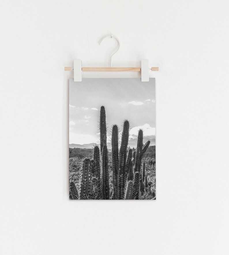 Cactus Print - Desert Landscape Print - Black and White - Boho Print ...