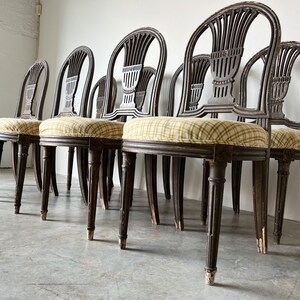 19th Century Antique French Louis XVI Balloon Backs Dining Chairs Set of 8 image 2