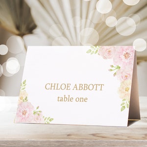 Rose Tischkarten sofort download Hochzeits-Platzkarten Namenszeltkarten Rose Taufe Tischkarten Rose Essenszelt Corjl Tischkarte bearbeitbar 0201