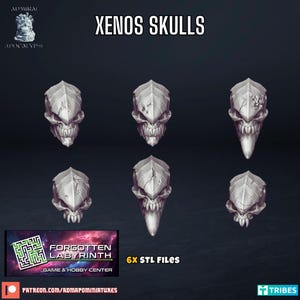May include: Six 3D printed Xenon skulls, each with a unique design. The skulls are grey and have a textured surface. The text "XENOS SKULLS" is at the top of the image. The text "6X STL FILES" is at the bottom of the image.