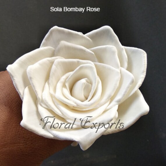 Sola Bombay Rose Set Of 100 Flowers 1 Quantity Contains 100 Etsy