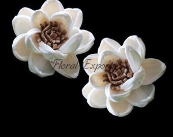 Sola Wood Flower Design # 97 set of 100 flowers (1 Quantity contains 100 flowers.)