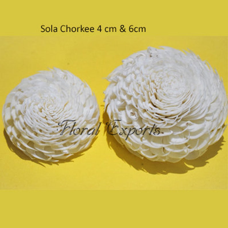 \u2013 For 100 flowers Sola Chorkee Our Minimum Order Quantity is 10 in mixing quantity
