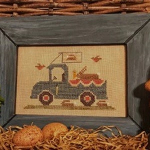 May include: A cross-stitch embroidery of a blue truck carrying a red and white windmill and a sign that says "Springtime Delivery". The truck is surrounded by brown and white birds. The embroidery is framed in a dark gray wooden frame.