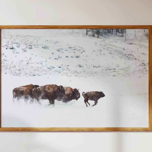 Bison Herd and Baby in Snow at Yellowstone Park; Animal Nature Landscape—Watercolor Style Modern Wall Art+Decor Digital Download to Print