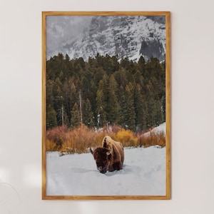 Bison + arbres et montagne dans la neige à Yellowstone ; Paysage naturel animalier : oeuvres d'art murales et décoration modernes de style aquarelle, téléchargement numérique à imprimer