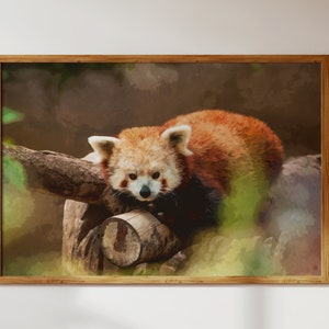 Schattige rode panda die in de dierentuin rust; Dierlijk natuurlandschap: moderne muurkunst in aquarelstijl + digitale download decor om af te drukken/vrienden cadeau te doen