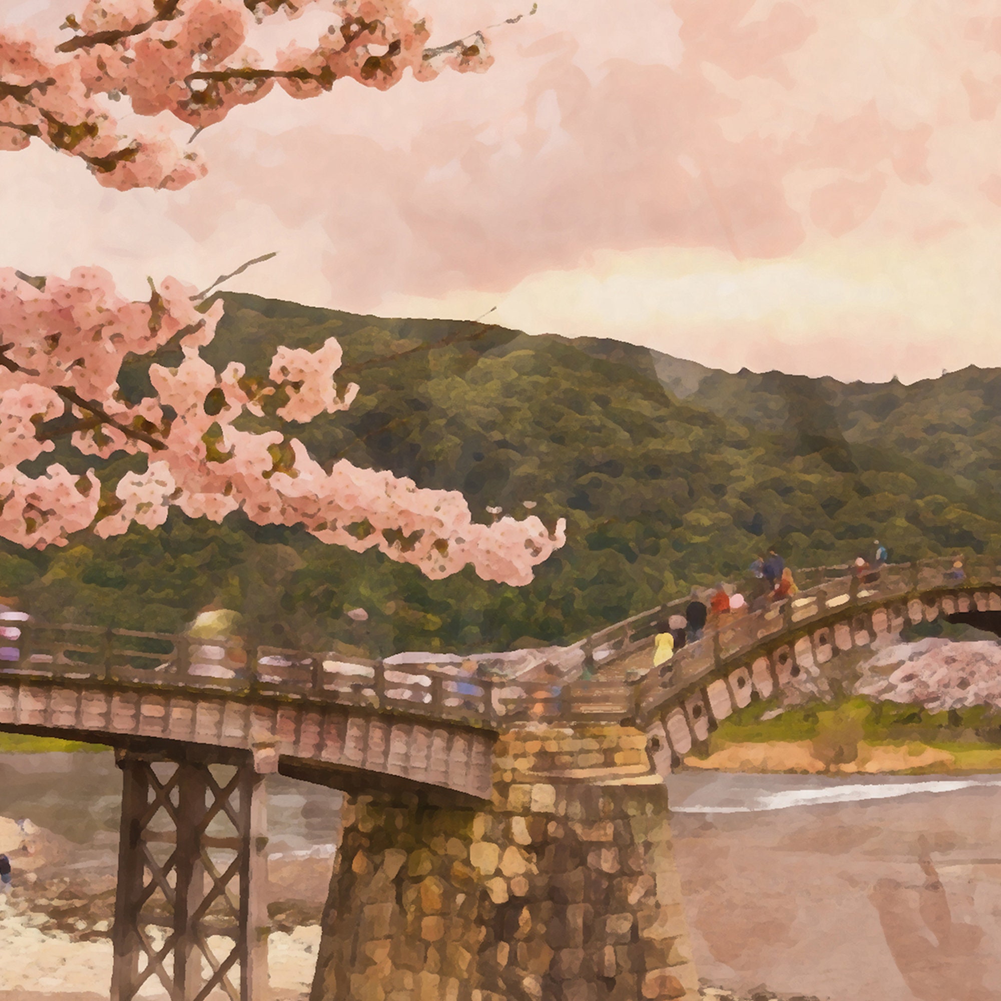 Kintai Bridge With Sakura Cherry Blossom Tree, Japanese Nature