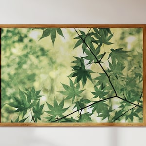 Puede incluir: Una impresión enmarcada de una pintura de acuarela con hojas verdes sobre un fondo verde claro y amarillo.