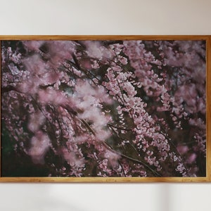 Sakura Kirschblüte in Kyoto Garten, Japan Natur Landschaft—Aquarell Stil Moderne Wand Kunst + Dekor Digitaler Download als Druck für zu Hause