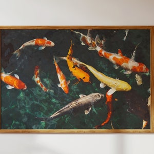 May include: A framed print of a colorful koi fish pond. The fish are swimming in a dark green pond with ripples on the surface. The fish are orange, white, and black.