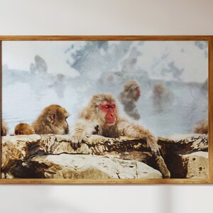 May include: A framed photograph of snow monkeys relaxing in a hot spring. The monkeys are sitting on rocks with steam rising from the water. The background is a blurry image of a snowy forest.