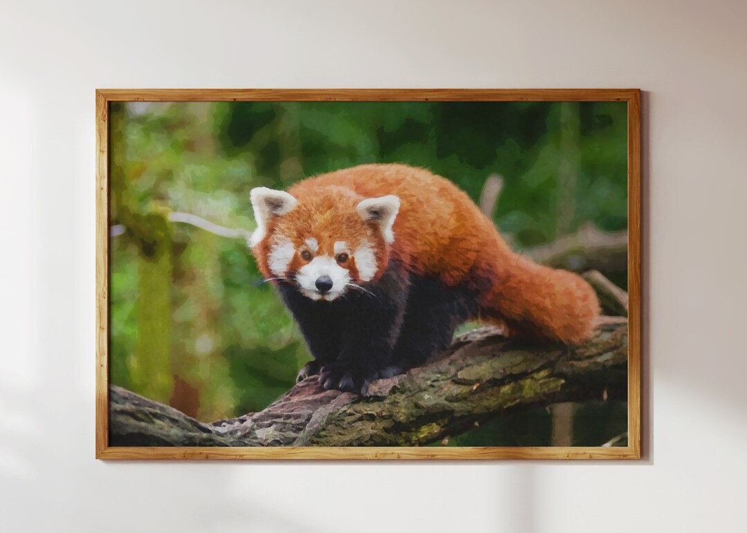 Cute Red Panda on a Forest Tree; Animal Nature Landscape—watercolor ...