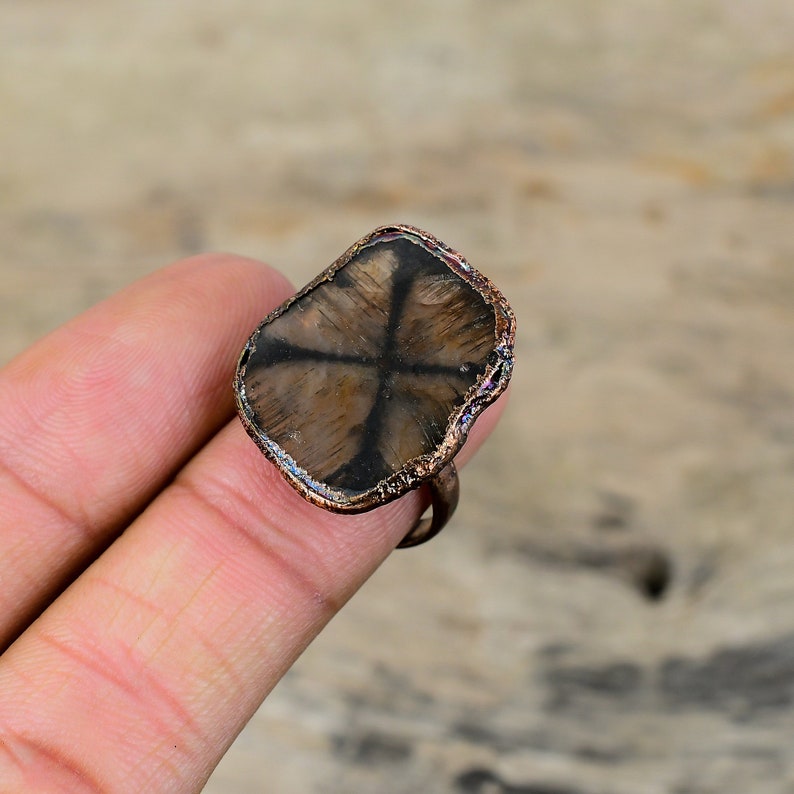 Pu&ograve; includere: Un anello con una pietra preziosa a forma di stella marrone e nera con una montatura in filo di rame.