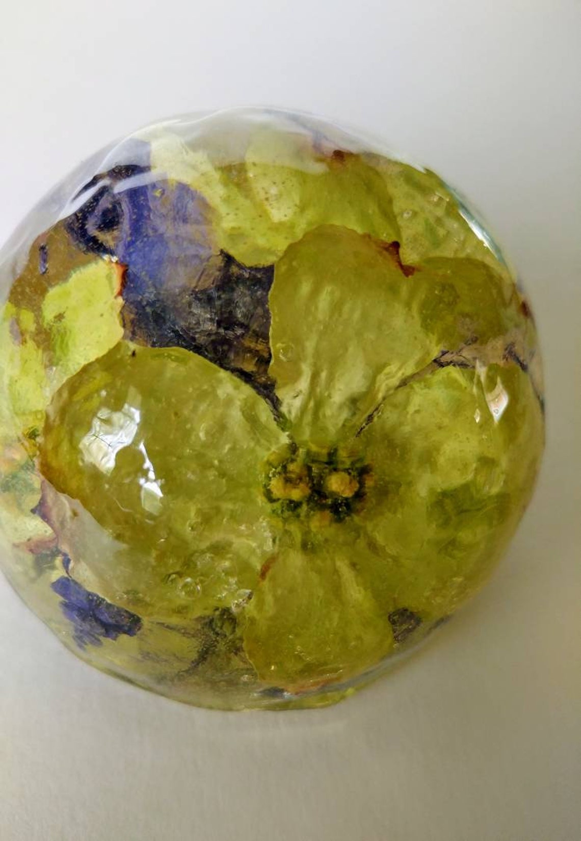 Dogwood Flower Paperweight. Real Flowers Preserved in Resin. Etsy