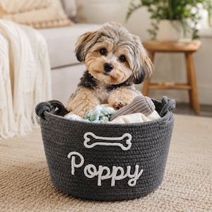 K&ouml;nnte beinhalten: Ein dunkelgrauer Korb aus geflochtenem Seil mit einem wei&szlig;en, gestickten Knochen-Symbol und dem Namen Poppy in wei&szlig;er Schreibschrift. Der Korb enth&auml;lt verschiedene Tierspielzeuge und einen kleinen Hund mit hellbraunem und schwarzem Fell.