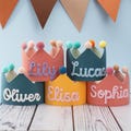 Birthday Crown, Birthday Crown for Baby and Kid, Toddler Birthday Crown, Baby First Birthday Party Hat, Personalized Crown Cake Smash Crown product logo