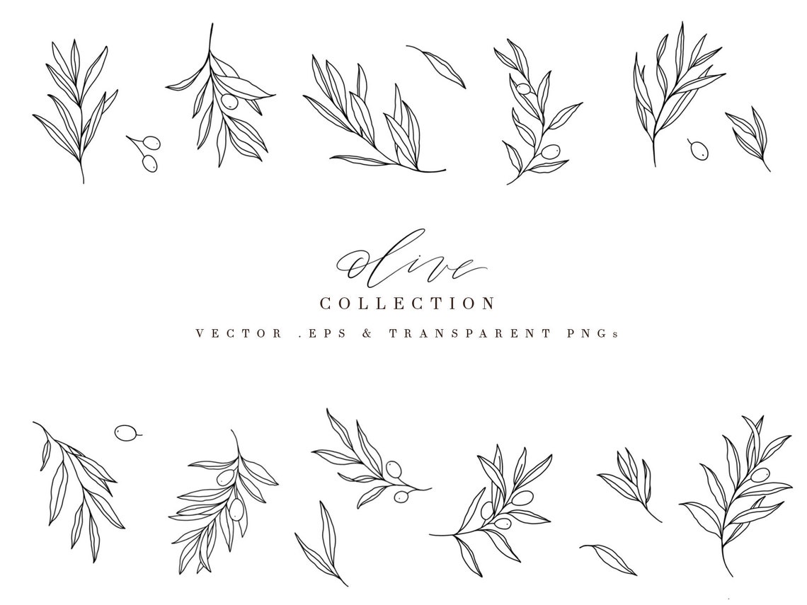 Botanical line art olive foliage minimalist clipart vector | Etsy