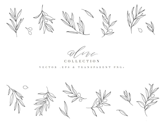 Botanical line art olive foliage minimalist clipart vector | Etsy