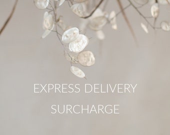 Express Delivery Fee