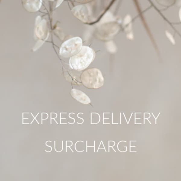 Express Delivery Fee